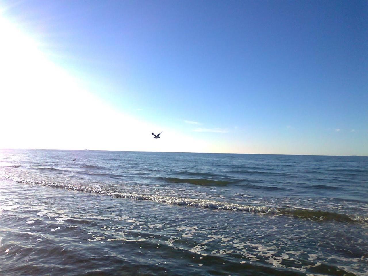 Flat With Sauna In Rerik On The Baltic Sea Экстерьер фото